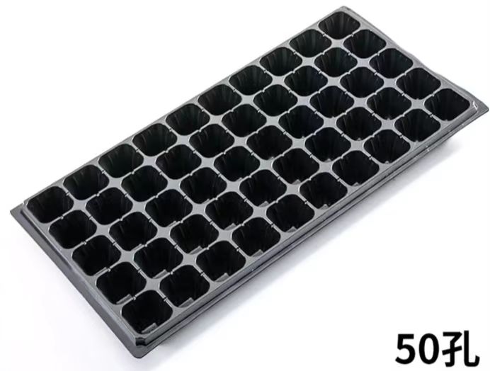 育苗穴盤（50孔）